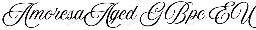 AmoresaAged GBpc EUC字体转换